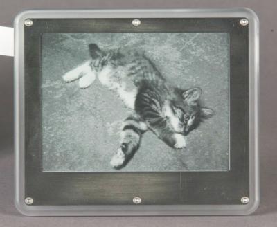 A sheet of the new display material called Electronic Ink