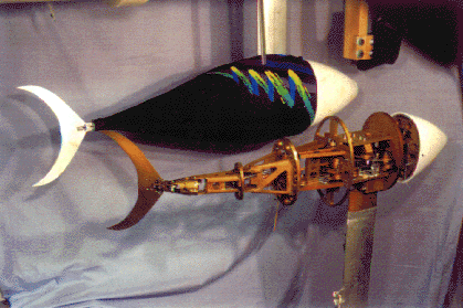 A 3 foot long robotic tuna model attached to a large carriage